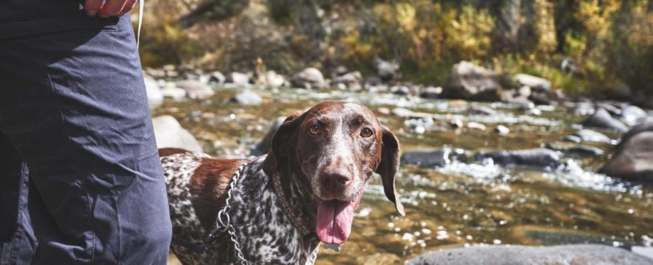 Dog friendly vacation, Winthrop WA